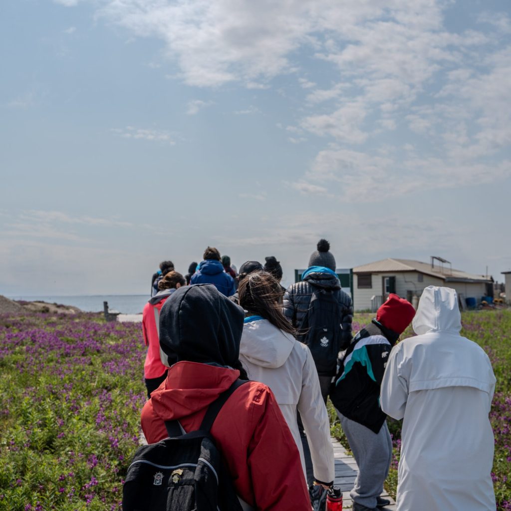 DSC01717 (2)